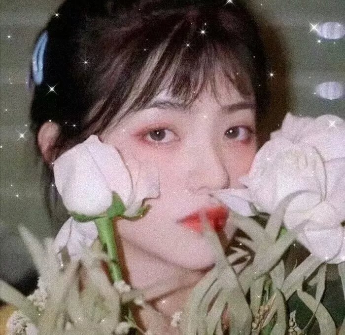 惹不起的宫主大人